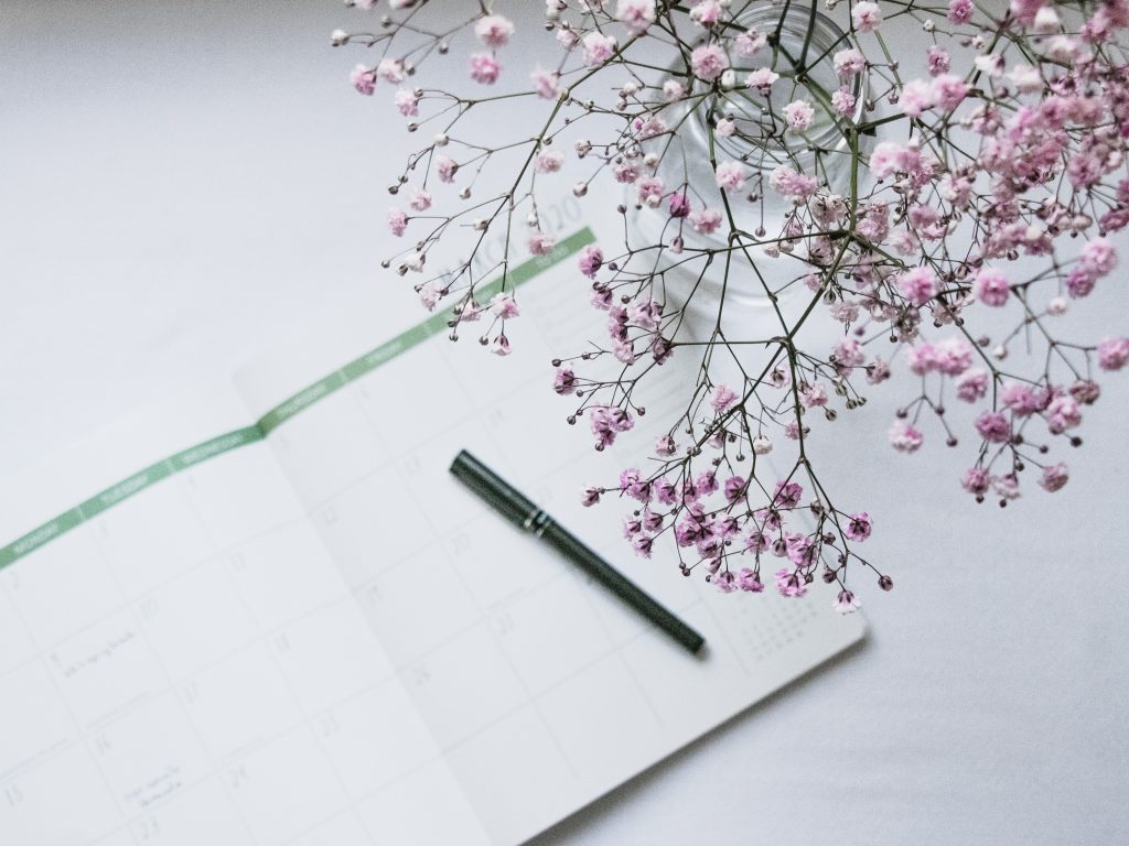 桜の花と日記帳とペンの画像