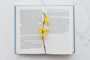 花と本